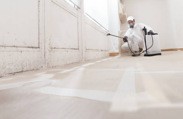 24/7 Emergency Mold Removal experts in Reva, VA